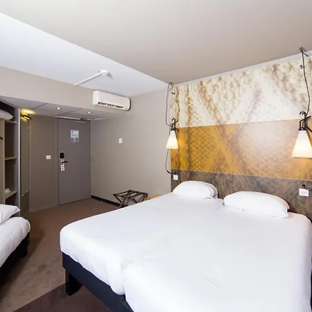 Ibis Purpan